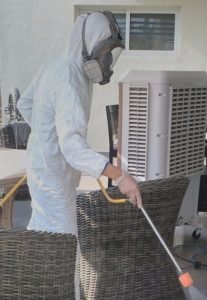 احتياطات قبل التخلص من الدبابير