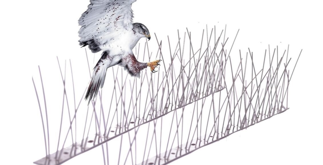 شوك طارد الحمام مانع وقوف الطيور طارد الطيور Bird spike repellent