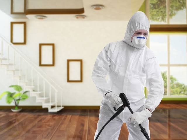 شركات مكافحة الحشرات بالقاهرة