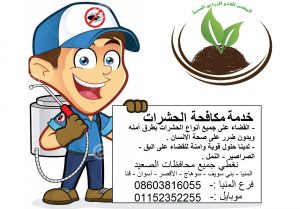 شركة مكافحة حشرات المنيا