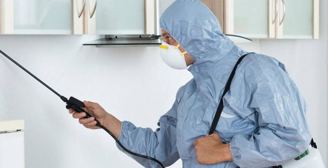 افضل شركة مكافحة الحشرات فى مصر