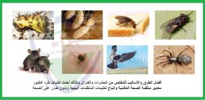 شركات ابادة الحشرات