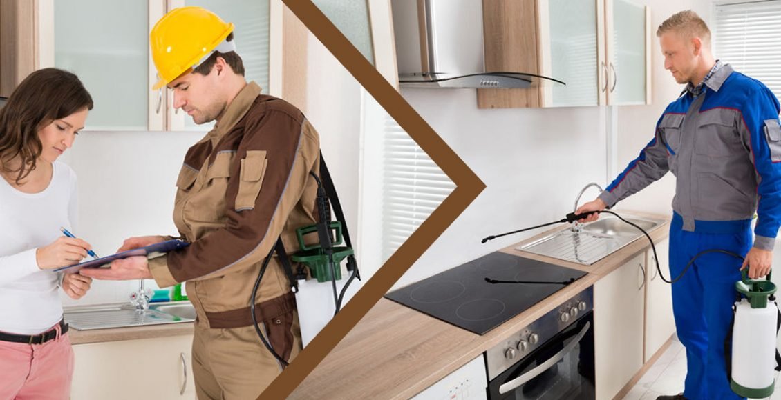 شركة مكافحة حشرات