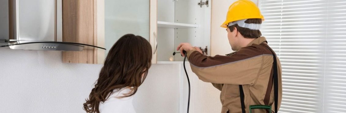 شركة مكافحة حشرات في المنيا