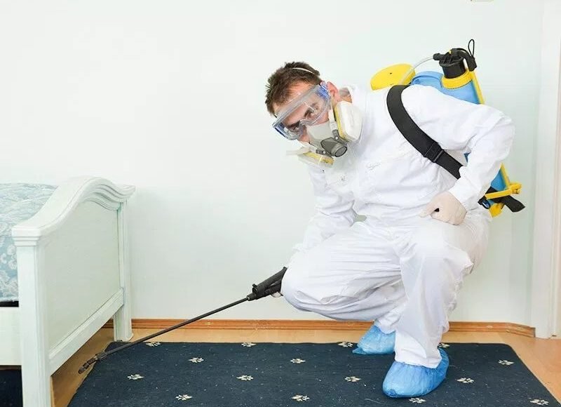 مكافحة الحشرات المنزلية