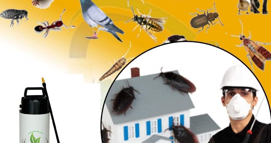 شركة مكافحة حشرات القاهرة