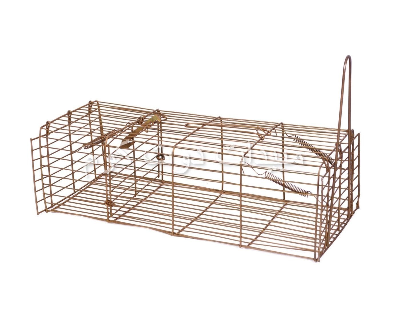 مصيدة العرس والقوارض الاحترافيه مصيدة ابن عرس - weasels trap